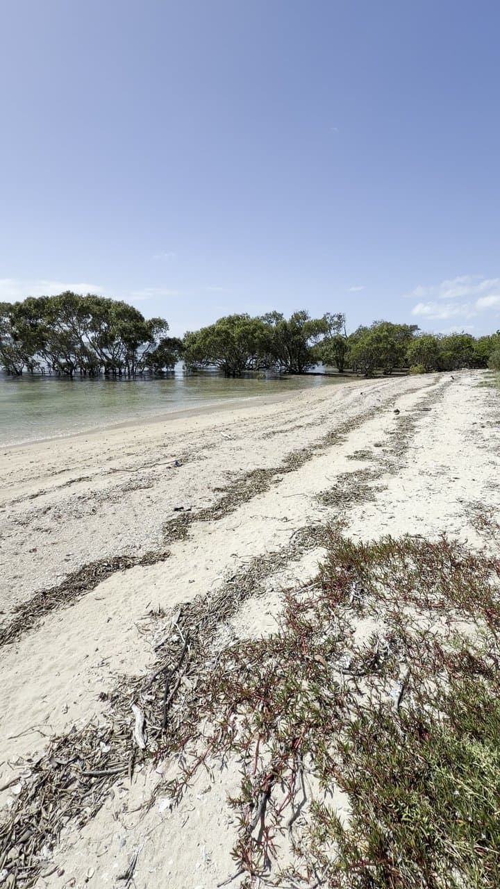 Green Island — photograph 9 of 20