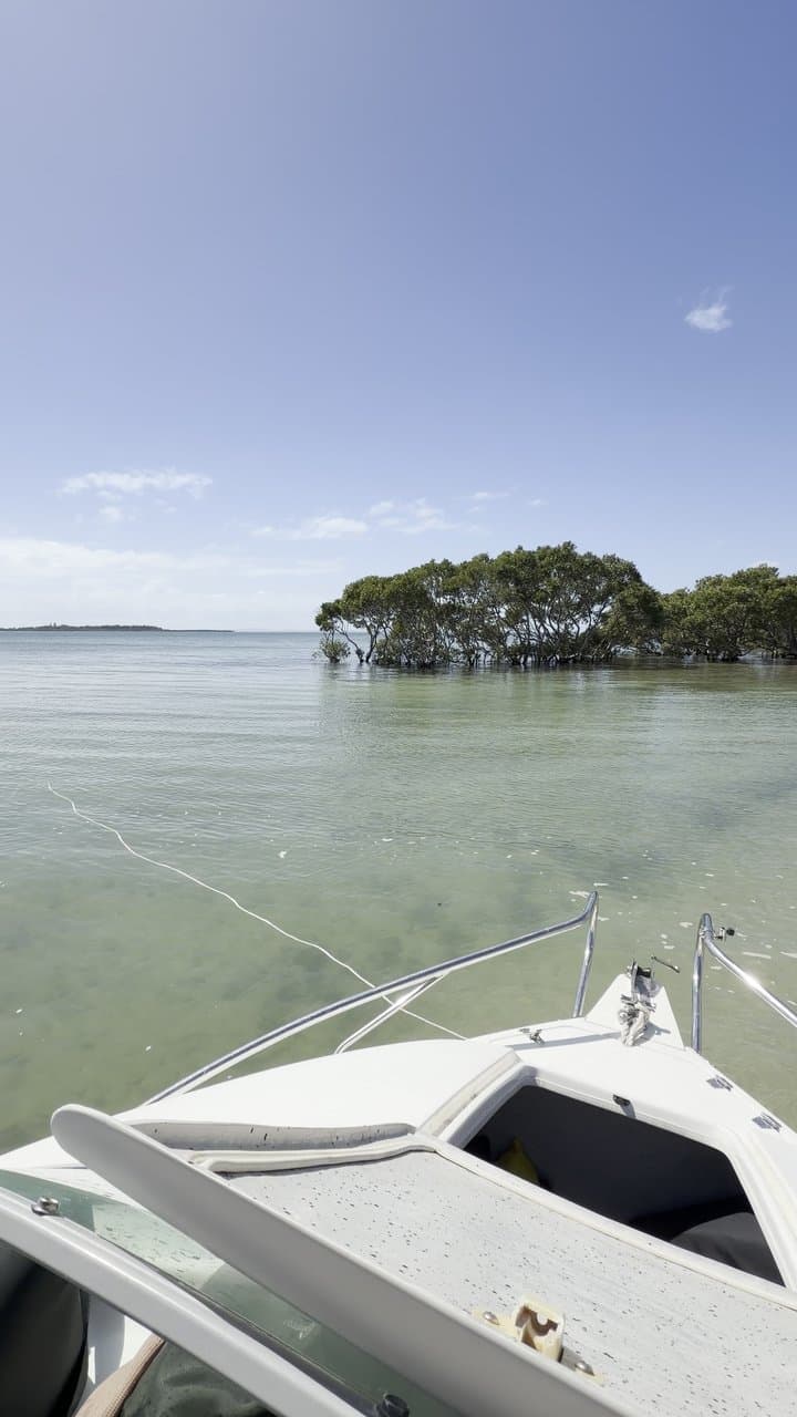 Green Island — photograph 11 of 20