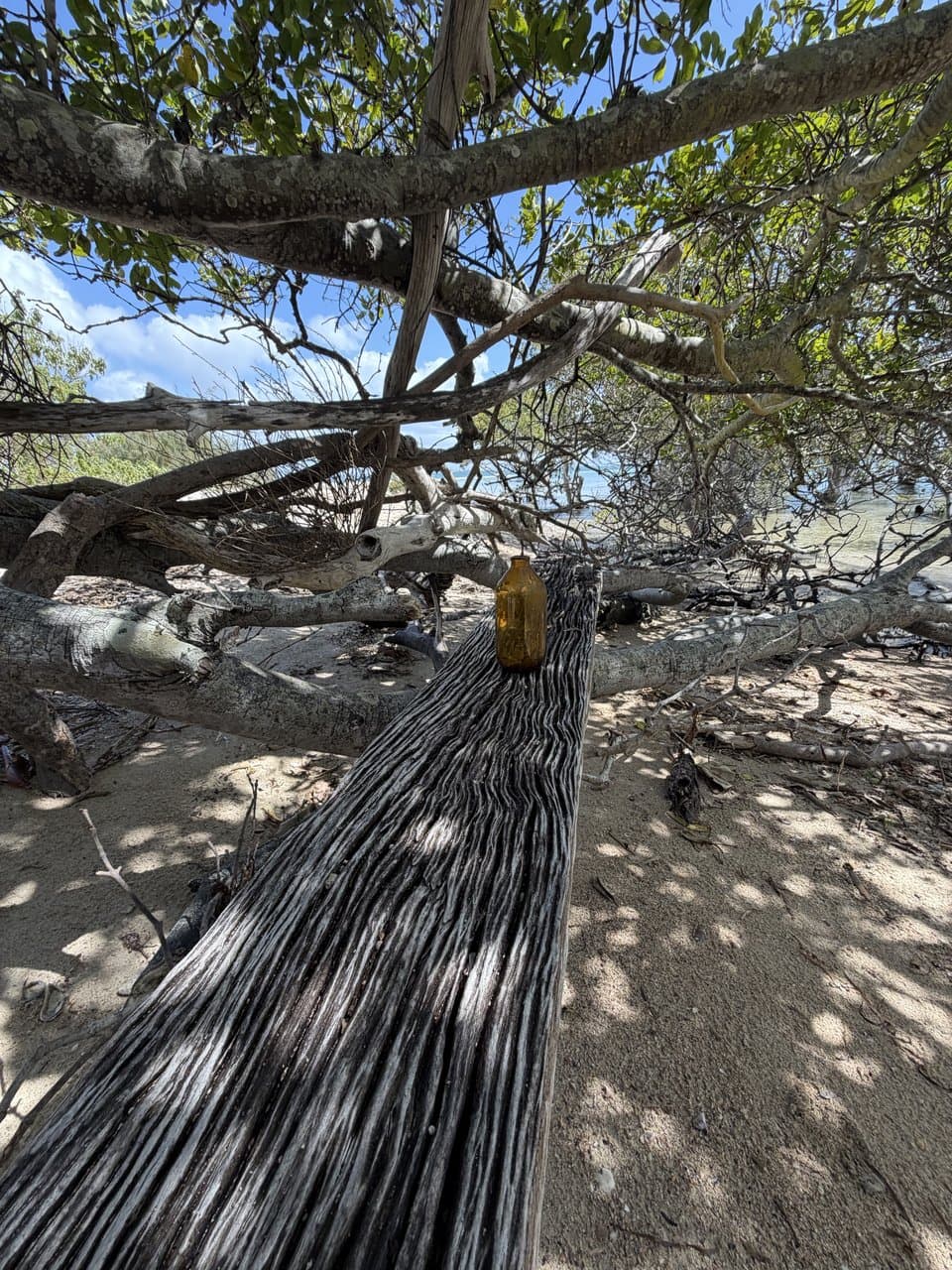 Green Island — photograph 12 of 20