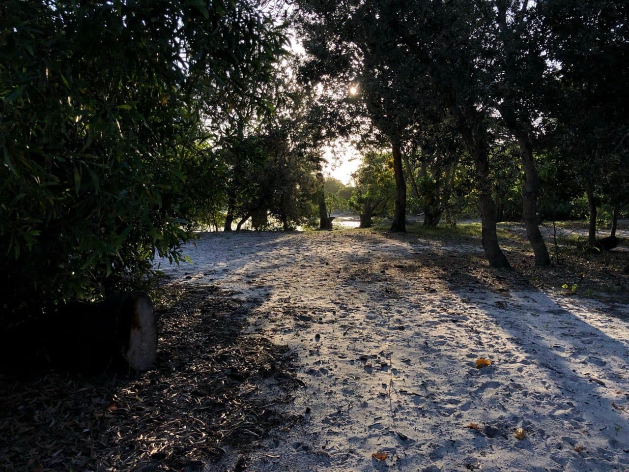 North Currigee Campground — photograph 8 of 13