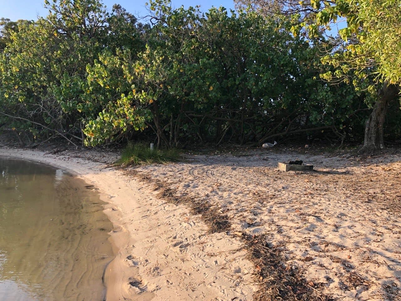 North Currigee Campground — photograph 10 of 13
