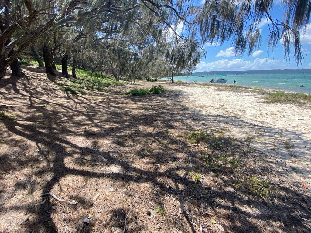 Peel Island — photograph 5 of 46