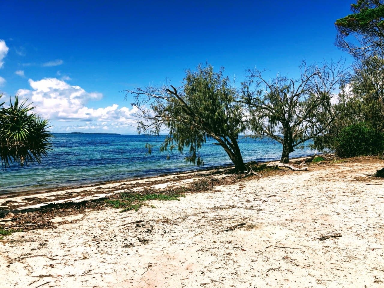 Peel Island — photograph 7 of 46