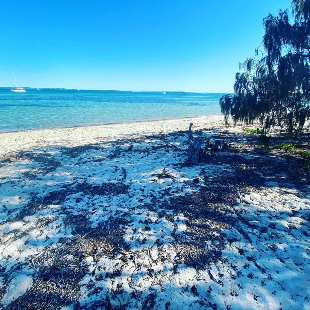Peel Island — photograph 9 of 46