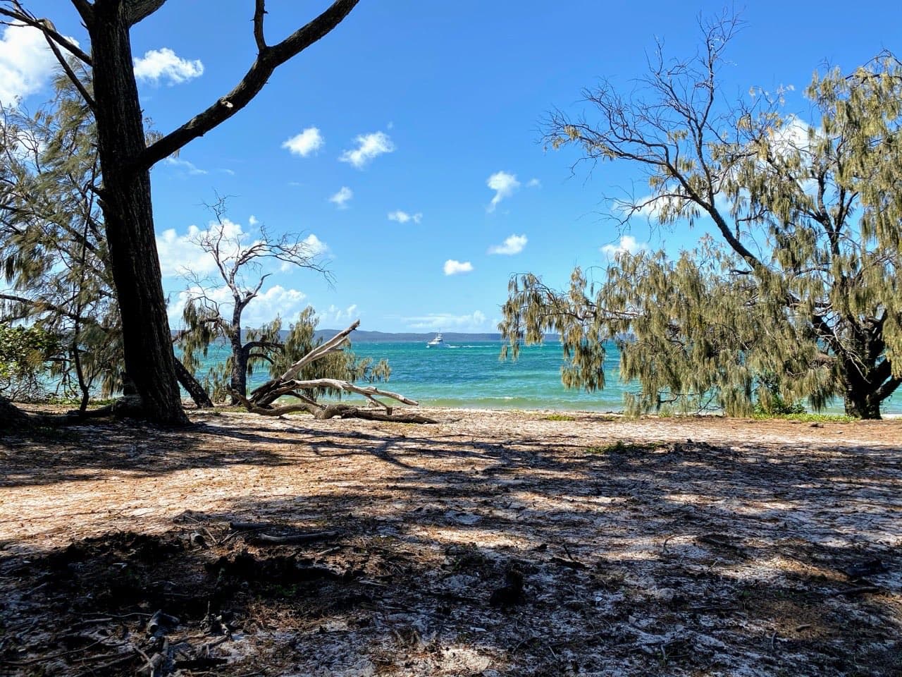 Peel Island — photograph 19 of 46