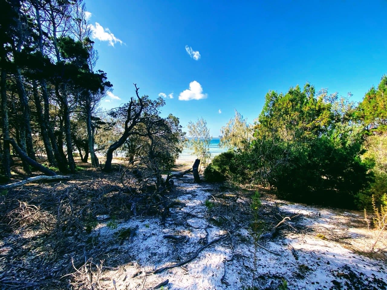 Peel Island — photograph 21 of 46