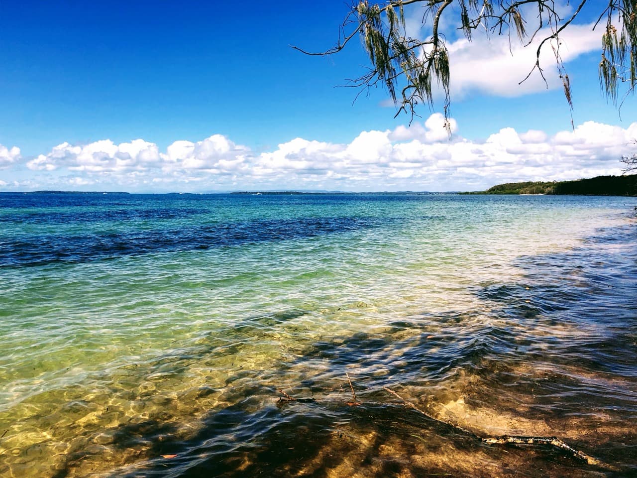 Peel Island — photograph 25 of 46