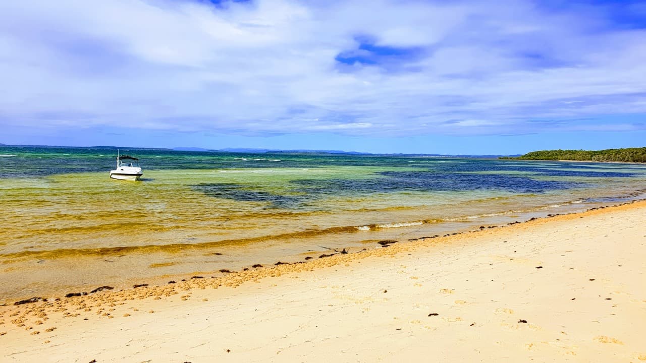 Peel Island — photograph 45 of 46