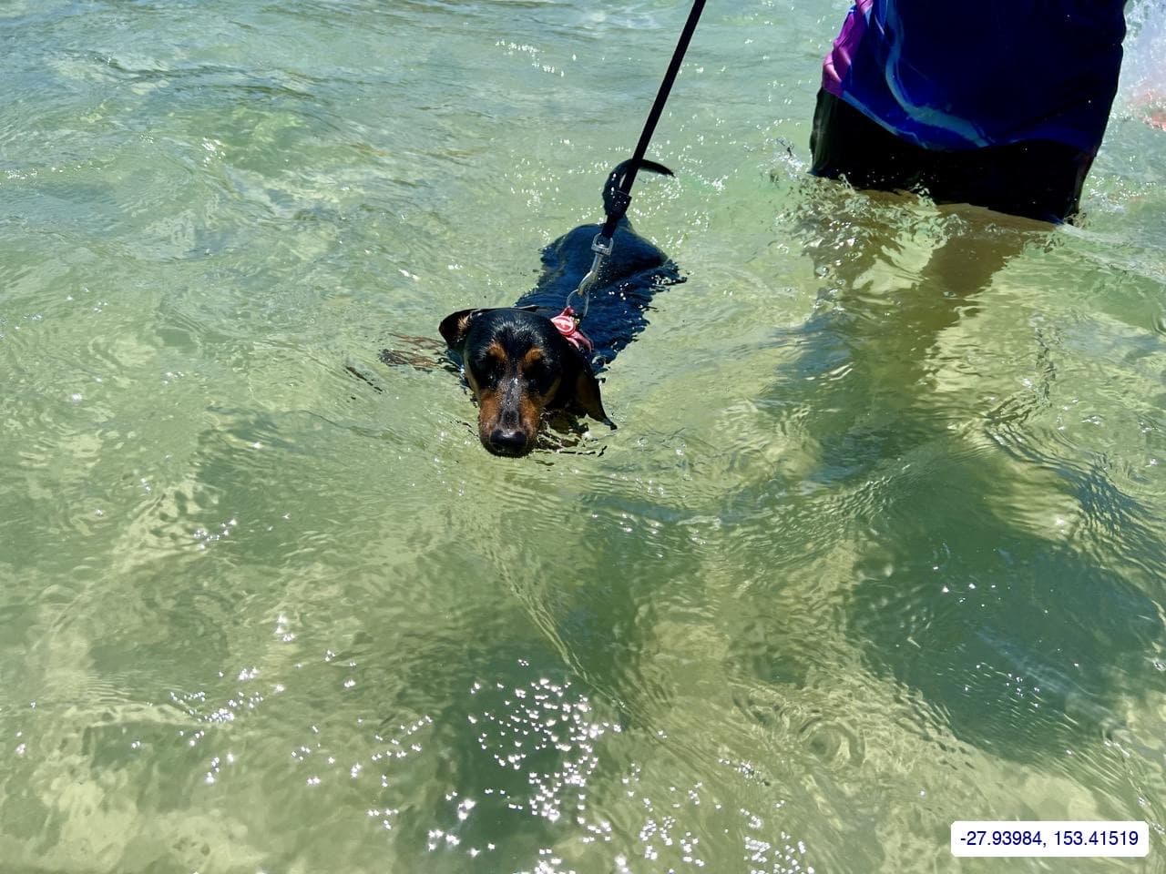Wavebreak Island — photograph 10 of 22