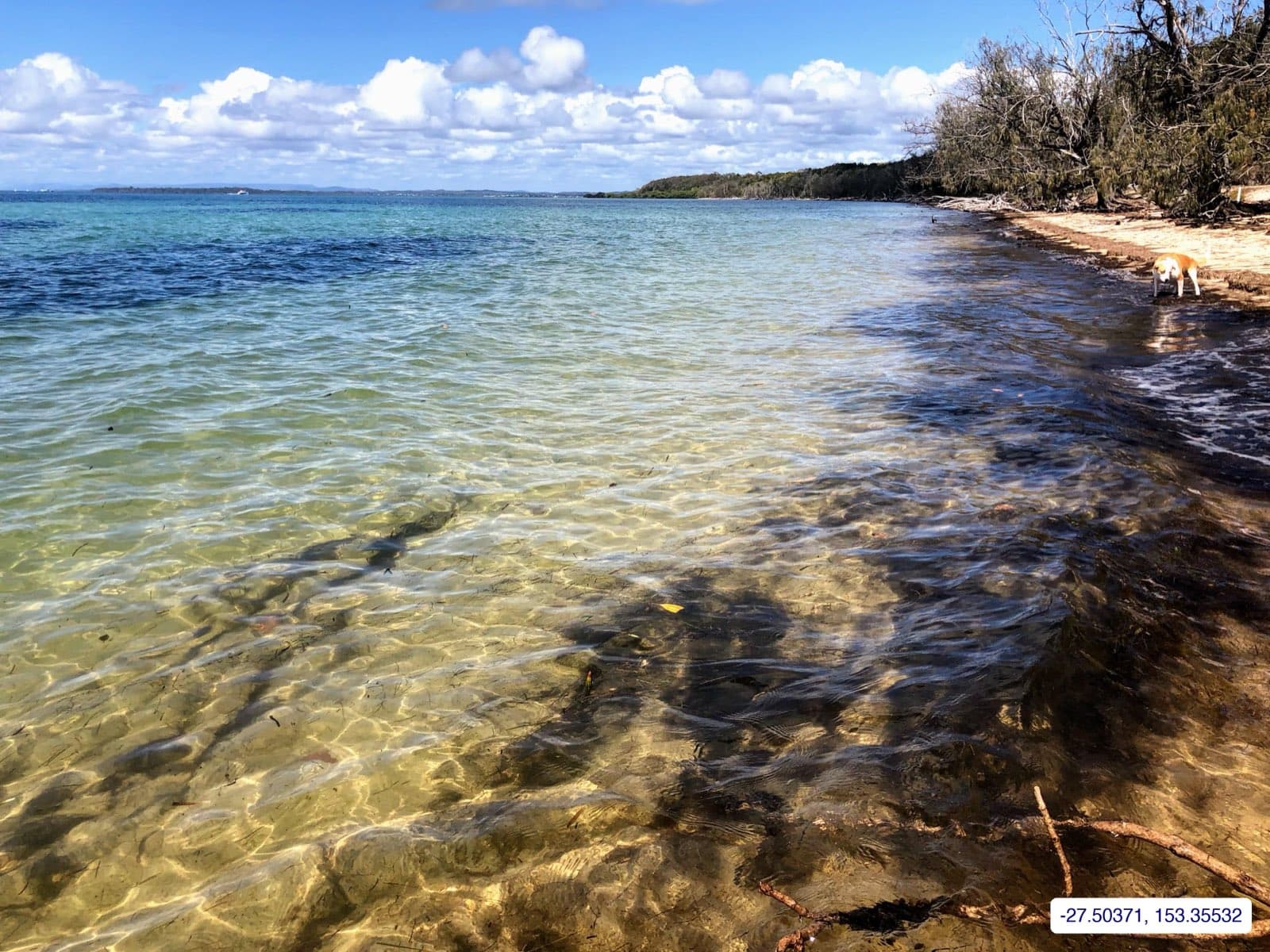Photograph taken near Peel Island