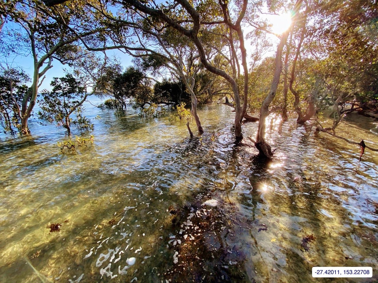Photograph taken near Green Island
