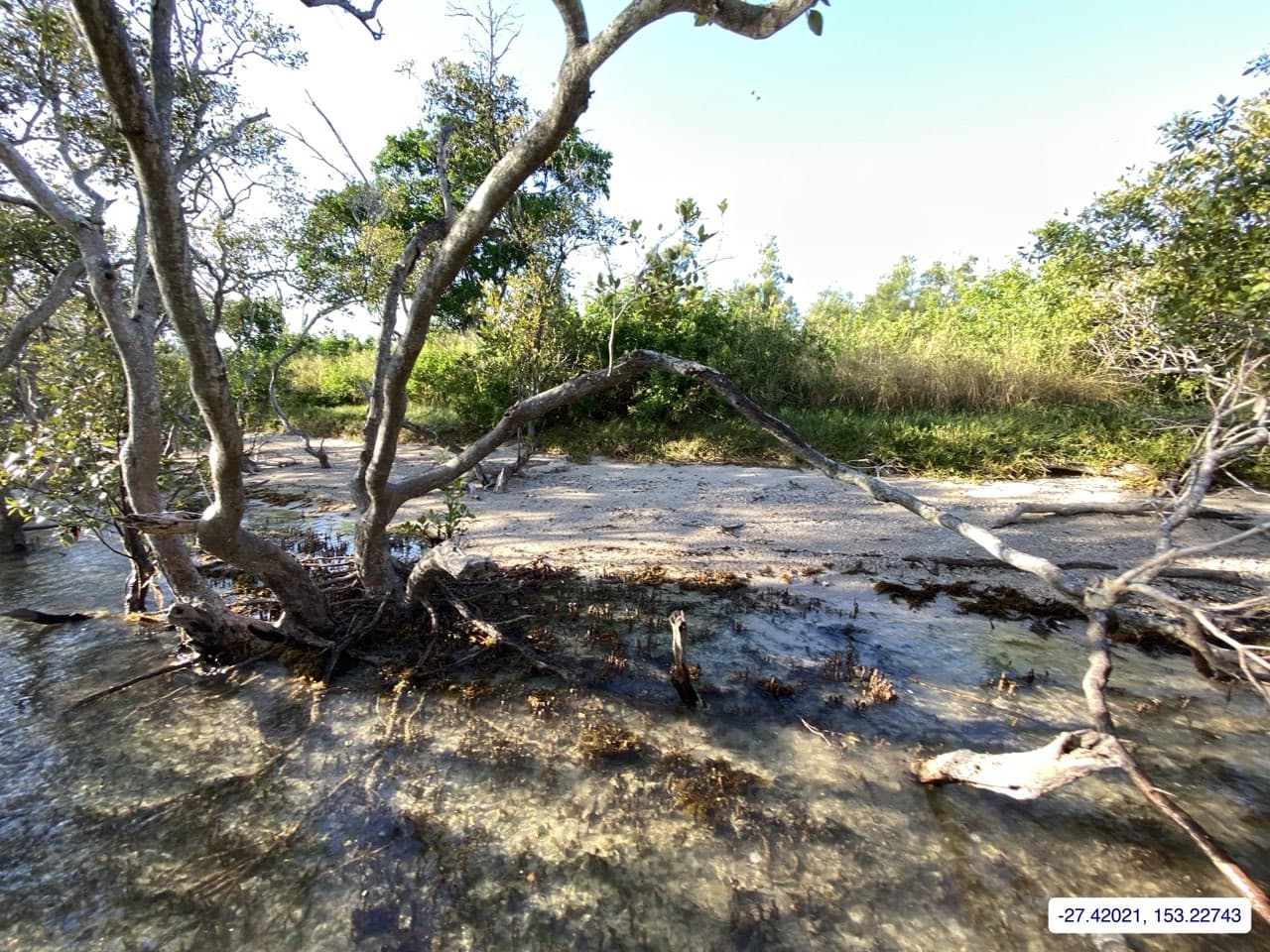 Photograph taken near Green Island