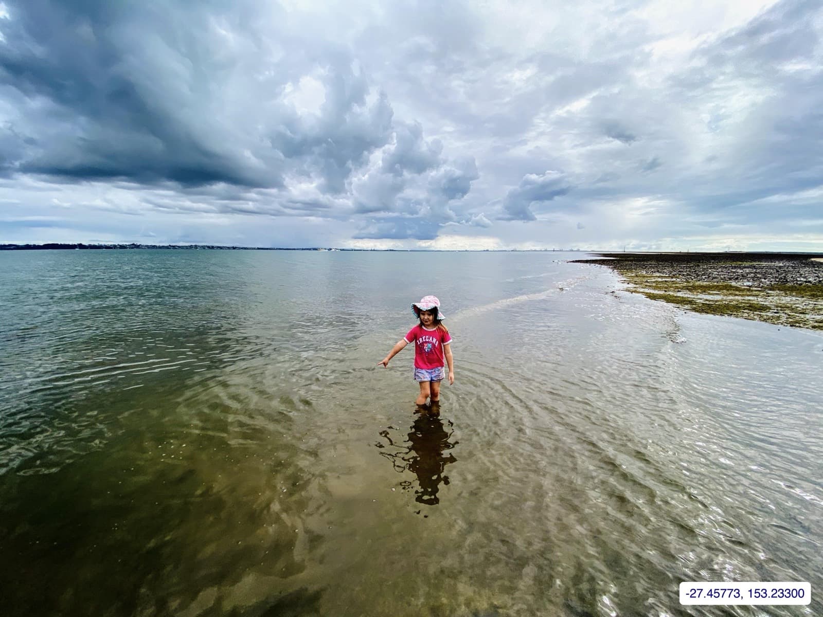 Photograph taken near Moreton Bay mainland