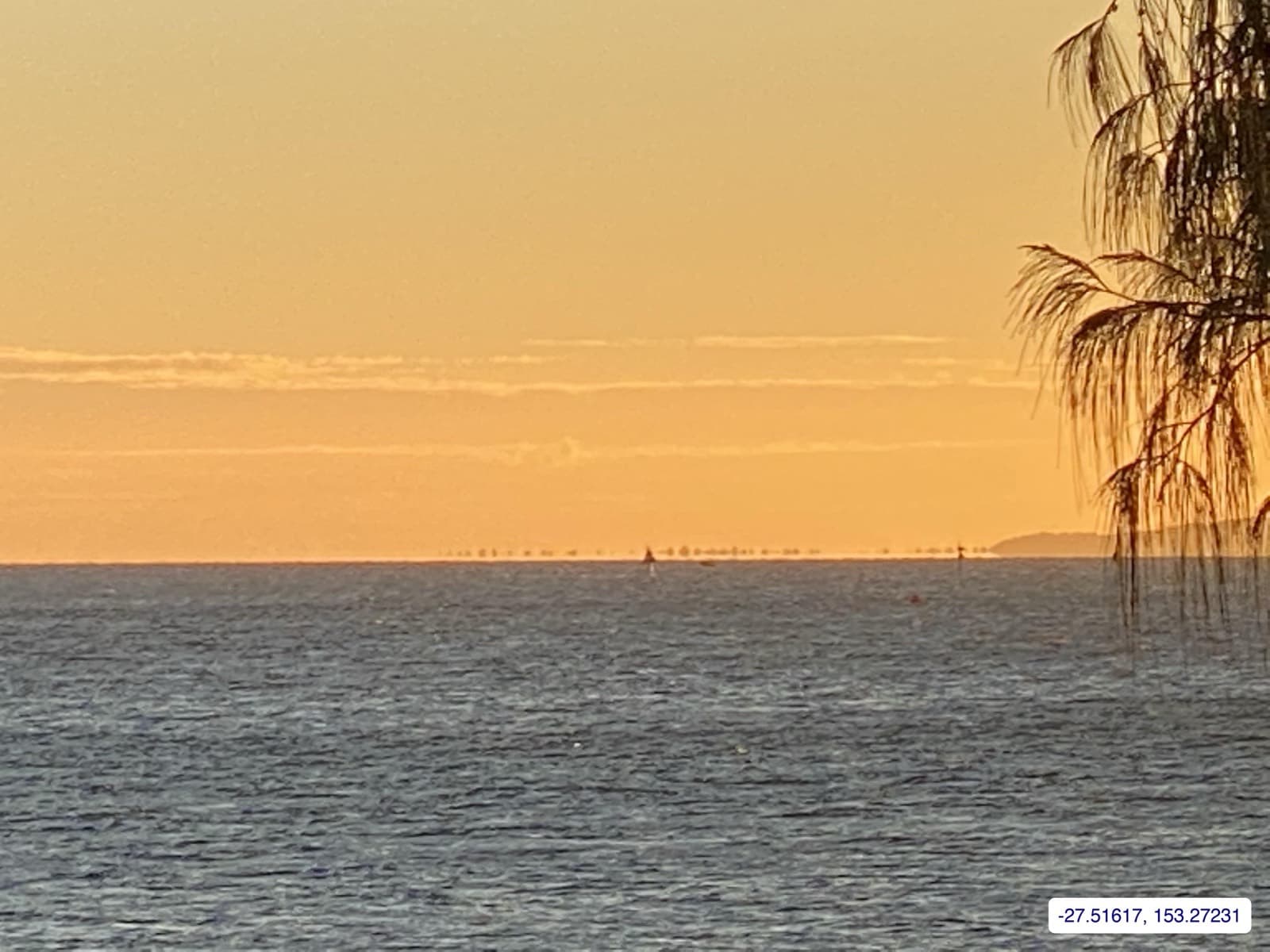 Photograph taken near Moreton Bay mainland