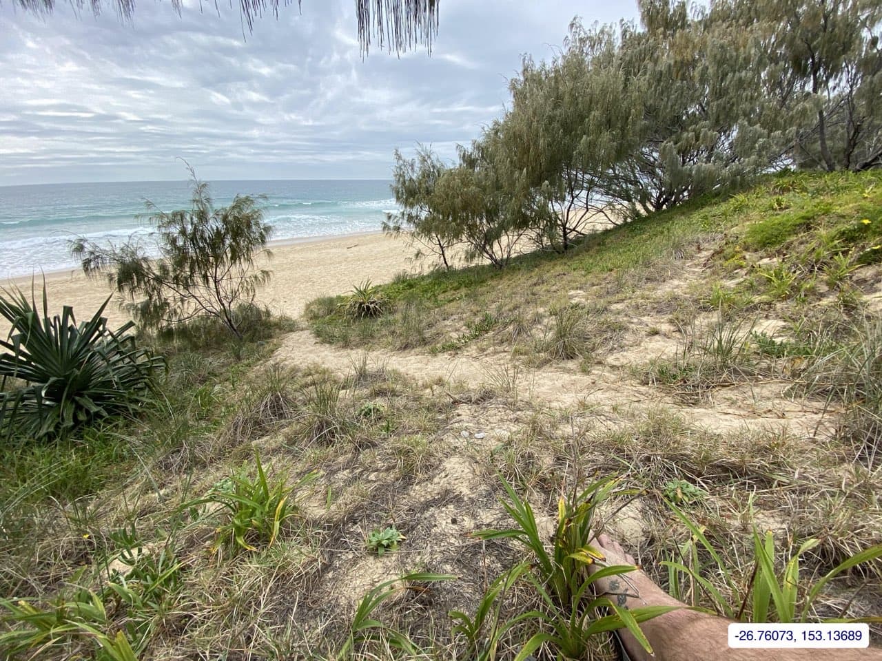 Photograph taken near Moreton Bay mainland