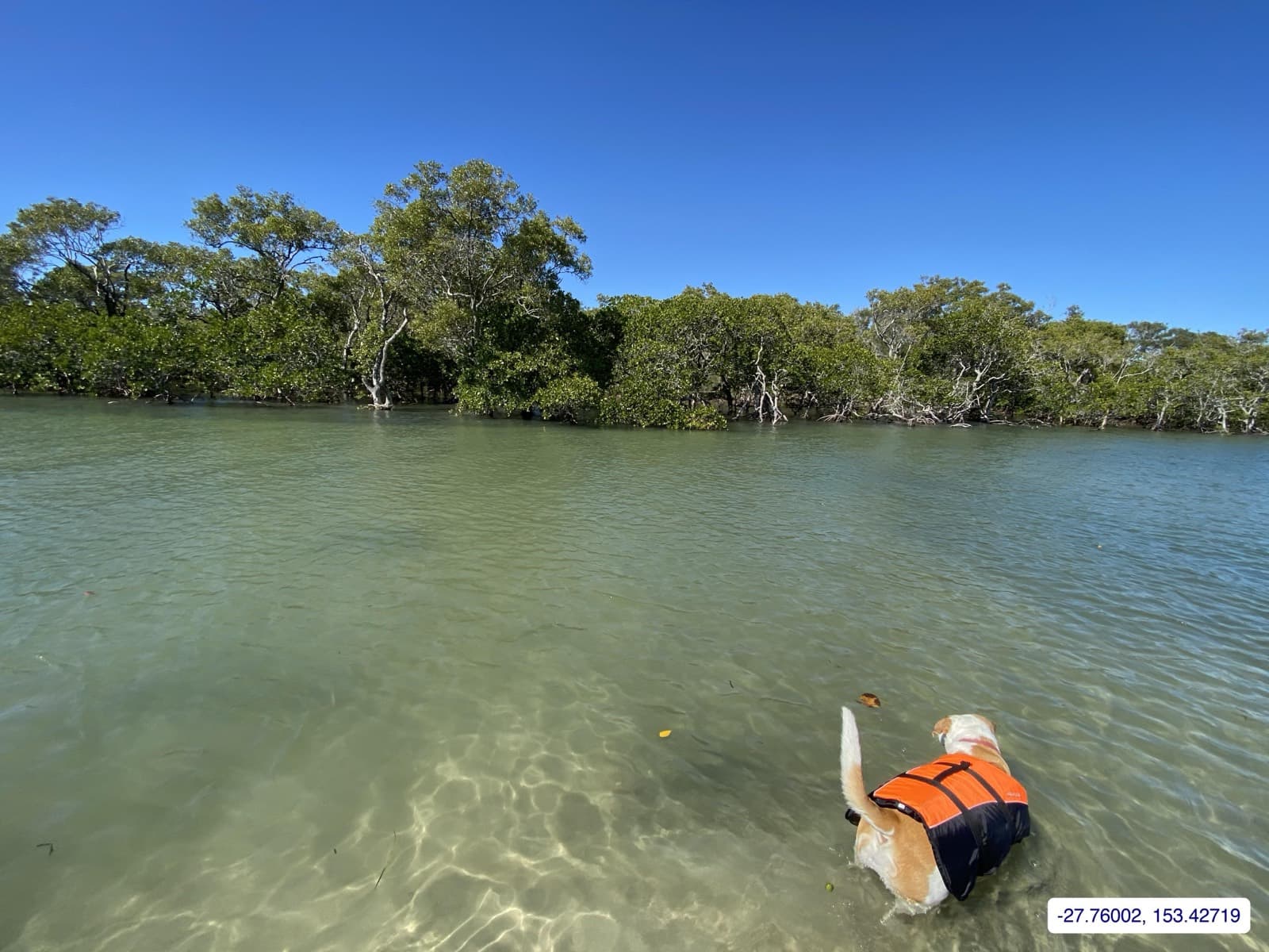 Photograph taken near Tipplers Passage little beach