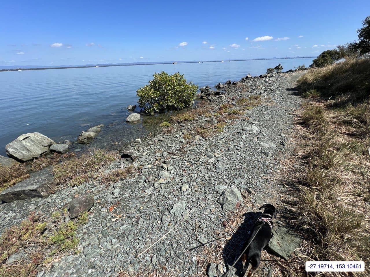 Photograph taken near Moreton Bay mainland