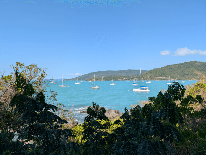 Photograph taken near Airlie Beach, Abell Point Marina