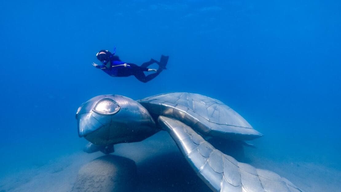 Sculpture - Turtle Dream (Whitsundays)