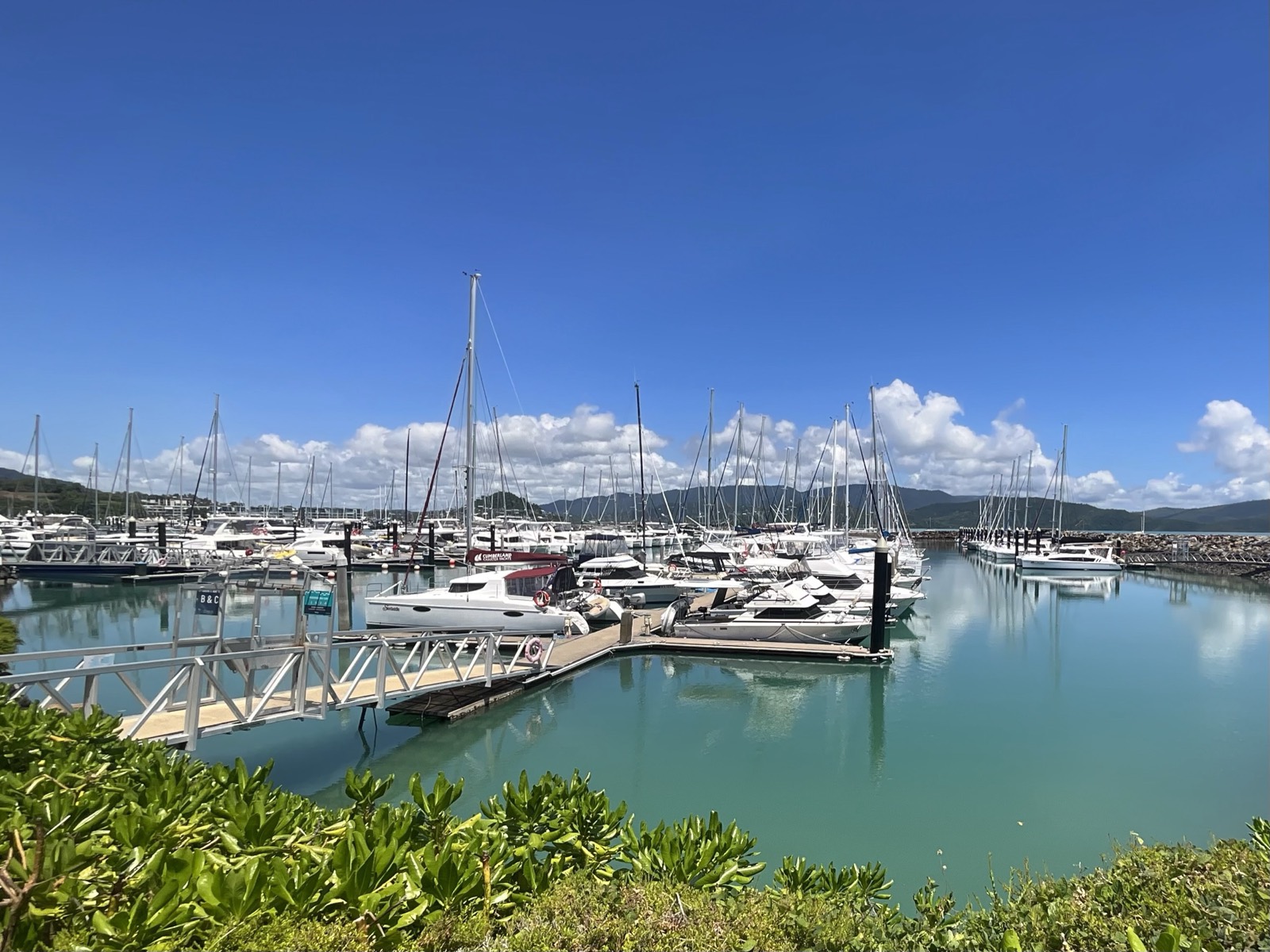 the marina basin