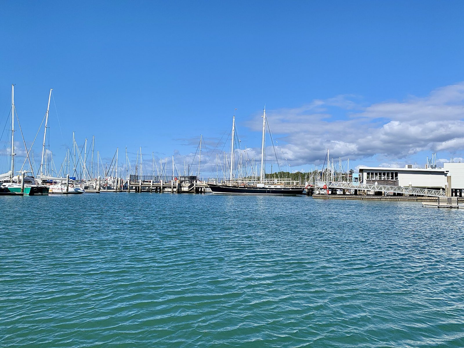 Manly Boat Harbour
