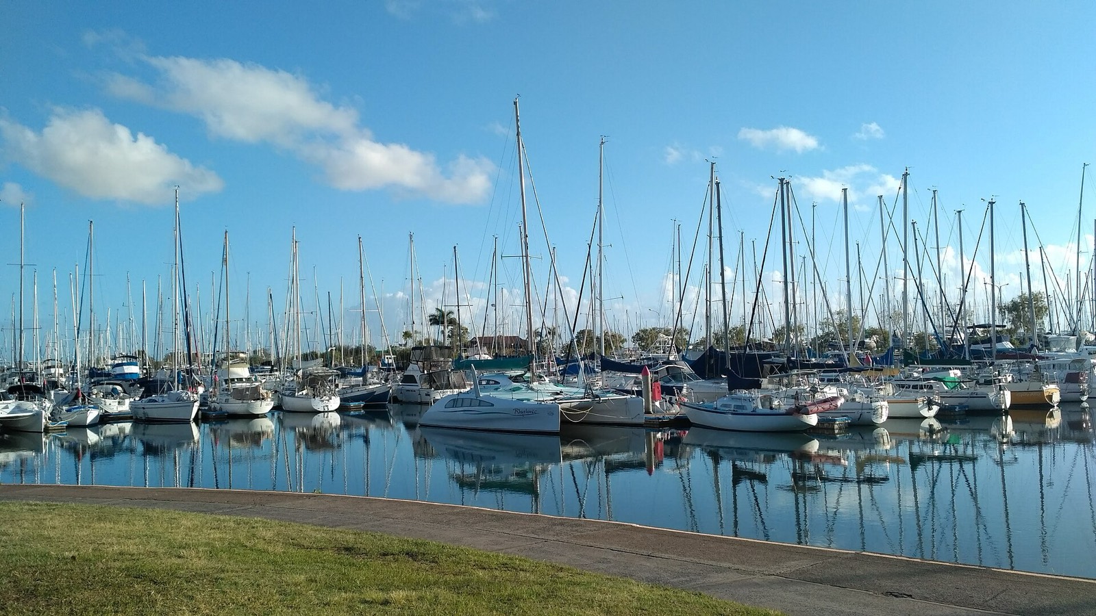 Boats in Manly Boat Harbour