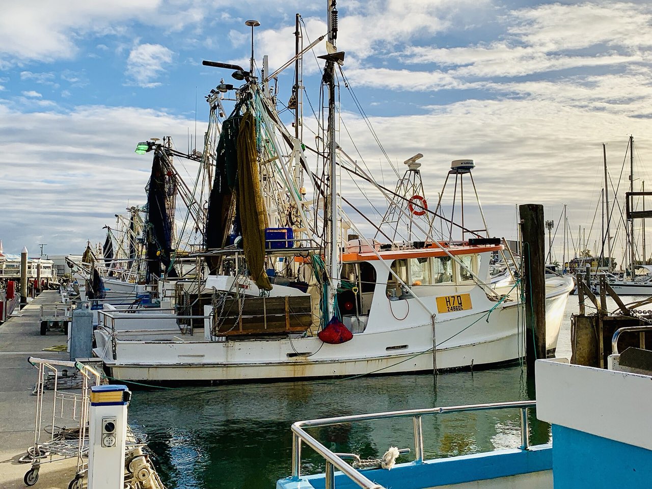 Trawlers in Scarborough Boat Harbour